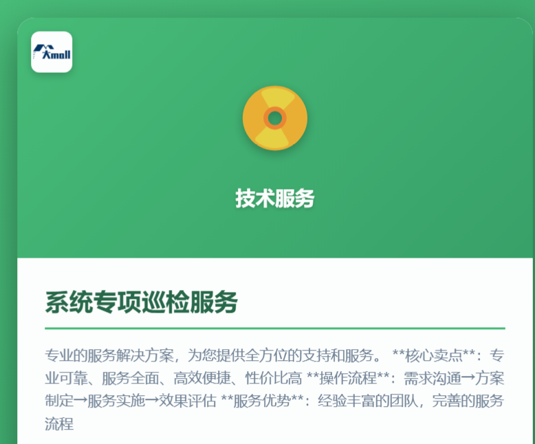 系统专项巡检服务