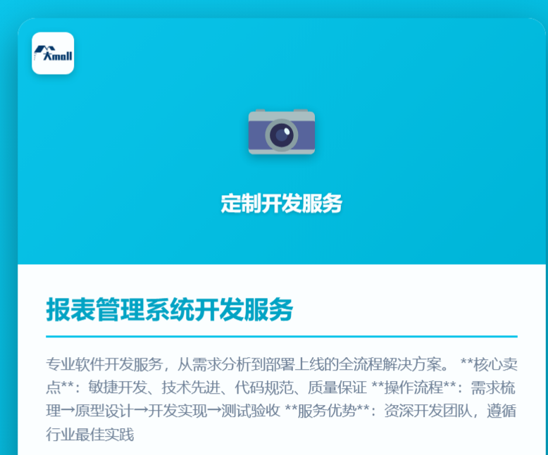 报表管理系统开发服务